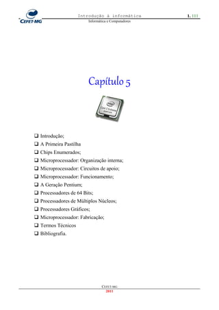 Introdução à informática         1. 111
                        Informática e Computadores




                        Capítulo 5



 Introdução;
 A Primeira Pastilha
 Chips Enumerados;
 Microprocessador: Organização interna;
 Microprocessador: Circuitos de apoio;
 Microprocessador: Funcionamento;
 A Geração Pentium;
 Processadores de 64 Bits;
 Processadores de Múltiplos Núcleos;
 Processadores Gráficos;
 Microprocessador: Fabricação;
 Termos Técnicos
 Bibliografia.




                                CEFET-MG
                                  2011
 