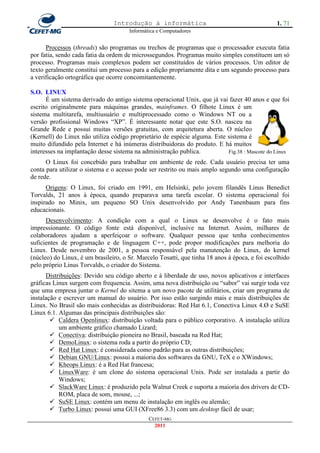 Introdução à informática                                        1. 71
                                      Informática e Computadores


      Processos (threads) são programas ou trechos de programas que o processador executa fatia
por fatia, sendo cada fatia da ordem de microssegundos. Programas muito simples constituem um só
processo. Programas mais complexos podem ser constituídos de vários processos. Um editor de
texto geralmente constitui um processo para a edição propriamente dita e um segundo processo para
a verificação ortográfica que ocorre concomitantemente.

S.O. LINUX
      É um sistema derivado do antigo sistema operacional Unix, que já vai fazer 40 anos e que foi
escrito originalmente para máquinas grandes, mainframes. O filhote Linux é um
sistema multitarefa, multiusuário e multiprocessado como o Windows NT ou a
versão profissional Windows ―XP‖. É interessante notar que este S.O. nasceu na
Grande Rede e possui muitas versões gratuitas, com arquitetura aberta. O núcleo
(Kernell) do Linux não utiliza código proprietário de espécie alguma. Este sistema é
muito difundido pela Internet e há inúmeras distribuidoras do produto. E há muitos
interesses na implantação desse sistema na administração publica.          Fig.38 : Mascote do Linux
      O Linux foi concebido para trabalhar em ambiente de rede. Cada usuário precisa ter uma
conta para utilizar o sistema e o acesso pode ser restrito ou mais amplo segundo uma configuração
de rede.
      Origens: O Linux, foi criado em 1991, em Helsinki, pelo jovem filandês Linus Benedict
Torvalds, 21 anos à época, quando preparava uma tarefa escolar. O sistema operacional foi
inspirado no Minix, um pequeno SO Unix desenvolvido por Andy Tanenbaum para fins
educacionais.
      Desenvolvimento: A condição com a qual o Linux se desenvolve é o fato mais
impressionante. O código fonte está disponível, inclusive na Internet. Assim, milhares de
colaboradores ajudam a aperfeiçoar o software. Qualquer pessoa que tenha conhecimentos
suficientes de programação e de linguagem C++, pode propor modificações para melhoria do
Linux. Desde novembro de 2001, a pessoa responsável pela manutenção do Linux, do kernel
(núcleo) do Linux, é um brasileiro, o Sr. Marcelo Tosatti, que tinha 18 anos à época, e foi escolhido
pelo próprio Linus Torvalds, o criador do Sistema.
      Distribuições: Devido seu código aberto e à liberdade de uso, novos aplicativos e interfaces
gráficas Linux surgem com frequencia. Assim, uma nova distribuição ou ―sabor‖ vai surgir toda vez
que uma empresa juntar o Kernel do sitema a um novo pacote de utilitários, criar um programa de
instalação e escrever um manual do usuário. Por isso estão surgindo mais e mais distribuições de
Linux. No Brasil são mais conhecidas as distribuidoras: Red Hat 6.1, Conectiva Linux 4.Ø e SuSE
Linux 6.1. Algumas das principais distribuições são:
         Caldera Openlinux: distribuição voltada para o público corporativo. A instalação utiliza
           um ambiente gráfico chamado Lizard;
         Conectiva: distribuição pioneira no Brasil, baseada na Red Hat;
         DemoLinux: o sistema roda a partir do próprio CD;
         Red Hat Linux: é considerada como padrão para as outras distribuições;
         Debian GNU/Linux: possui a maioria dos softwares da GNU, TeX e o XWindows;
         Kheops Linux: é a Red Hat francesa;
         LinuxWare: é um clone do sistema operacional Unix. Pode ser instalada a partir do
           Windows;
         SlackWare Linux: é produzido pela Walnut Creek e suporta a maioria dos drivers de CD-
           ROM, placa de som, mouse, ...;
         SuSE Linux: contém um menu de instalação em inglês ou alemão;
         Turbo Linux: possui uma GUI (XFree86 3.3) com um desktop fácil de usar;
                                              CEFET-MG
                                                2011
 