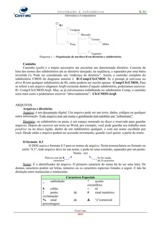 Introdução à informática                                      1. 80
                                           Informática e Computadores

                                
                                    B:
                                            
                                                Compras
                                                    
                                                          Mercado
                                                               
                                                                    Cereais
                                                                         
                                                Pesq                          Milho

                                                              
                                                           Legumes
                  Diagrama 1 - Organização de um disco B em diretórios e subdiretórios

       Caminho
       Caminho (path) é o trajeto necessário até encontrar um determinado diretório. Consiste da
lista dos nomes dos subdiretórios até ao diretório desejado, na seqüência, e separados por uma barra
invertida (). Pode ser considerado um ―endereço de diretório‖. Assim, o caminho completo do
subdiretório CMOS do diagrama anterior é B:CompCIsCMOS. Se o prompt já estivesse no
drive B (em qualquer subdiretório de B), então poderia ser escrito apenas CompCIsCMOS. Para
se referir a um arquivo (digamos Arq8) existente dentro d‘aquele subdiretório, poderíamos escrever:
B: CompCIsCMOSArq8. Mas, se já estivéssemos trabalhando no subdiretório Comp, o caminho
seria mais curto e poderíamos escrever ―abreviadamente‖: CIsCMOSArq8.


ARQUIVOS
      Arquivos e diretórios
      Arquivo: é um documento digital. Um arquivo pode ser um texto, dados, códigos ou qualquer
outra informação. Todo arquivo tem um nome e geralmente tem também um ―sobrenome‖.
      Diretório: ou subdiretório ou pasta, é um espaço nomeado no disco e reservado para guardar
arquivos. Depois de escrever um texto no Word, por exemplo, você pode guardar seu trabalho num
pendrive ou no disco rígido, dentro de um subdiretório qualquer, e com um nome escolhido por
você. Desde então o arquivo poderá ser acessado novamente, quando você quiser, a partir do nome.

      O formato 8.3
           O DOS usava o formato 8.3 para os nomes de arquivo. Nesta nomenclatura ou formato ou
     estilo ―8.3‖, todo arquivo deve ter um nome, e pode ter uma extensão, separados por um ponto.
                                             Nome . ext
                      Palavra com até 8                                 Se for usada,
                              caracteres                                até 3 caracteres
      Nome: É o identificador do arquivo. O primeiro caractere do nome há de ser uma letra. Os
demais caracteres podem ser letras, números ou os caracteres especiais listados a seguir. E não há
distinção entre maiúsculas e minúsculas.
                                     Caracteres Especiais
                     _    sublinhado               ^      acento
                                                   circunflexo
                     $    cifrão                   ~      til
                     !    ponto          de        #      sinal numérico
                     exclamação
                     % sinal             de        &      ―e‖comercial
                     porcentagem

                                                   CEFET-MG
                                                     2011
 