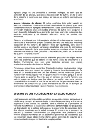 agrícola, plaga es una población d animales fitófagos, es decir que se
alimentan de las plantas, que reduce la producción del cultivo, afecta el valor
de la cosecha o incrementa sus costos, se trata de un criterio esencialmente
económico.
Manejo integrado de plagas: El cultivo ecológico debe estar basado en
métodos preventivos, potenciando el buen desarrollo de las plantas y por tanto
su resistencia natural a plagas y enfermedades. Debe potenciarse al máximo la
prevención mediante unas adecuadas prácticas de cultivo que aseguren el
buen desarrollo de las plantas y, por tanto, que éstas sean más resistentes. Las
especies autóctonas y un abonado adecuado hacen las plantas más
resistentes.
Evitando el cultivo de una única especie, al diversificar las especies plantadas
se dificulta la aparición de plagas, utilizando para ello una adecuada rotación y
asociación en los campos. El abonado debe ser equilibrado, para obtener
plantas fuertes y se utilizarán variedades adaptadas a la zona. Es aconsejable
promover el desarrollo de la fauna auxiliar autóctona, mediante el uso de setos
y la suelta de insectos útiles (parásitos o depredadores), como los parasitoides
del pulgón Toxoptera aurantii.
En última instancia se podrán utilizar diferentes productos de origen natural,
como las piretrinas que se obtiene de las flores secas del crisantemo o el
Bacillus thuringiensis que son unas bacterias aerobias que atacan
predominantemente a los insectos dañinos.
Feromonas, atrayentes y repelentes; El extracto de ajo es biodegradable y sirve
para repeler la mosca blanca, los pájaros y distintos tipos de chupadores. Se
basa en un enmascarador del olor del alimento, de las feromonas (evita la
reproducción de las plagas) y en los pájaros los desconcierta porque el ajo es
irritante para los pájaros. No evita que en períodos de mucha hambre este
método pueda ser ineficaz para los pájaros, se pueden usar otros métodos
como el de los ultrasonidos o el de las explosiones de gas con detectores de
movimiento. El extracto de ajo puede enmascarar el olor de las trampas de
feromonas de algunas plagas y puede hacerlas más ineficaces.

EFECTOS DE LOS PLAGUICIDAS EN LA SALUD HUMANA
Los trabajadores agrícolas están sometidos a especiales riesgos asociados a la
inhalación y contacto a través de la piel durante la preparación y aplicación de
plaguicidas a los cultivos. No obstante, para la mayoría de la población, un
vehículo importante es la ingestión de alimentos contaminados por plaguicidas.
La degradación de la calidad del agua por la escorrentía de plaguicidas tiene
dos efectos principales en la salud humana. El primero es el consumo de
pescado y mariscos contaminados por plaguicidas; este problema puede
revestir especial importancia en las economías pesqueras de subsistencia que
se encuentran aguas abajo de importantes zonas agrícolas. El segundo es el
consumo directo de agua contaminada con plaguicidas.

22

 