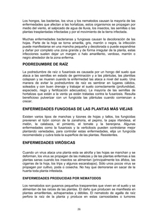 Los hongos, las bacterias, los virus y los nematodos causan la mayoría de las
enfermedades que afectan a las hortalizas, estos organismos se propagan por
medio del viento, el salpicado de agua de lluvia, los insectos, las semillas o las
plantas trasplantadas infectadas y por el movimiento de la tierra infectada.
Muchas enfermedades bacterianas y fungosas causan la decoloración de las
hojas. Parte de la hoja se torna amarilla, gris, marrón o negra, la infección
puede manifestarse en una mancha pequeña y decolorada o puede expandirse
y dañar por completo una zona grande y de forma irregular de la planta, estas
infecciones suelen dejar un margen o halo amarillento, verdoso, marrón o
negro alrededor de la zona enferma.

PODREDUMBRE DE RAÍZ
La podredumbre de raíz o fusariosis es causada por un hongo del suelo que
ataca a las semillas en estado de germinación y a las plántulas, las plantitas
colapsan y se mueren cuando la enfermedad las ataca a nivel del suelo. Una
manera de evitar la podredumbre de raíz es sembrar en lugares cálidos,
soleados y con buen drenaje y trabajar el suelo correctamente (profundidad,
espaciado, riego y fertilización adecuados). La mayoría de las semillas de
hortalizas que están a la venta ya están tratadas contra la fusariosis. Resulta
beneficioso pulverizar con un fungicida las plántulas cuando comienzan a
crecer.

ENFERMEDADES FUNGOSAS DE LAS PLANTAS MÁS VIEJAS
Existen varios tipos de manchas y tizones de hojas y tallos, los fungicidas
previenen el tizón común de la zanahoria, el pepino, la papa irlandesa, el
melón, la calabaza, el pimiento, el tomate y la berenjena. Algunas
enfermedades como la fusariosis y la verticilosis pueden controlarse mejor
plantando variedades, para controlar estas enfermedades, elija un fungicida
recomendado y cubra toda la superficie de las plantas. Resistentes.

ENFERMEDADES VIRÓSICAS
Cuando un virus ataca una planta esta se atrofia y las hojas se manchan y se
deforman, los virus se propagan de las malezas y de las plantas enfermas a las
plantas sanas cuando los insectos se alimentan (principalmente los áfidos, las
cigarras de la hoja, los trips y algunos escarabajos). Sólo unos pocos virus se
propagan por cultivo, poda o cosecha. No hay que demorarse en sacar de la
huerta toda planta infestada.
ENFERMEDADES PRODUCIDAS POR NEMATODOS
Los nematodos son gusanos pequeños trasparentes que viven en el suelo y se
alimentan de las raíces de las plantas. El daño que producen se manifiesta en
plantas amarillentas, achaparradas y débiles. El nematodo de agalla de raíz
perfora la raíz de la planta y produce en estas carnosidades o tumores

26

 
