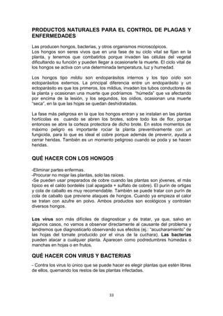 PRODUCTOS NATURALES PARA EL CONTROL DE PLAGAS Y
ENFERMEDADES
Las producen hongos, bacterias, y otros organismos microscópicos.
Los hongos son seres vivos que en una fase de su ciclo vital se fijan en la
planta, y tenemos que combatirlos porque invaden las células del vegetal
dificultando su función y pueden llegar a ocasionarle la muerte. El ciclo vital de
los hongos se activa con una determinada temperatura, luz y humedad.
Los hongos tipo mildiu son endoparásitos internos y los tipo oídio son
ectoparásitos externos. La principal diferencia entre un endoparásito y un
ectoparásito es que los primeros, los mildius, invaden los tubos conductores de
la planta y ocasionan una muerte que podríamos “húmeda” que va afectando
por encima de la lesión, y los segundos, los oídios, ocasionan una muerte
“seca”, en la que las hojas se quedan deshidratadas.
La fase más peligrosa en la que los hongos entran y se instalan en las plantas
hortícolas es cuando se abren los brotes, sobre todo los de flor, porque
entonces se abre la corteza protectora de dicho brote. En estos momentos de
máximo peligro es importante rociar la planta preventivamente con un
fungicida, para lo que es ideal el cobre porque además de prevenir, ayuda a
cerrar heridas. También es un momento peligroso cuando se poda y se hacen
heridas.

QUÉ HACER CON LOS HONGOS
-Eliminar partes enfermas.
-Procurar no mojar las plantas, solo las raíces.
-Se pueden usar preparados de cobre cuando las plantas son jóvenes, el más
típico es el caldo bordelés (cal apagada + sulfato de cobre). El purín de ortigas
y cola de caballo es muy recomendable. También se puede tratar con purín de
cola de caballo que previene ataques de hongos. Cuando ya empieza el calor
se tratan con azufre en polvo. Ambos productos son ecológicos y controlan
diversos hongos.
Los virus son más difíciles de diagnosticar y de tratar, ya que, salvo en
algunos casos, no vamos a observar directamente al causante del problema y
tendremos que diagnosticarlo observando sus efectos (ej.: “acucharamiento” de
las hojas del tomate producido por el virus de la cuchara). Las bacterias
pueden atacar a cualquier planta. Aparecen como podredumbres húmedas o
manchas en hojas o en frutos.

QUÉ HACER CON VIRUS Y BACTERIAS
- Contra los virus lo único que se puede hacer es elegir plantas que estén libres
de ellos, quemando los restos de las plantas infectadas.

33

 