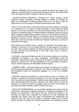 - AGUA A PRESIÓN.- Es una forma muy sencilla de eliminar las orugas y los
pulgones. Se puede utilizar un pulverizador de agua a presión. Se puede añadir
una o dos gotas de mistol o similar por cada litro de agua.
- AJENJO (Artemisia absinthium). Insecticida de amplio espectro contra
pulgones, ácaros, cochinillas, hormigas. Macerar la planta una semana en
agua, en la proporción de 300gr de planta fresca en 1L de agua o 30gr. de
planta seca en un litro de agua. Pulverizar toda la planta cada 15 días..
- AJO.- Purín de ajos: Pelar y picar finamente los ajos de 3 cabezas (3 cabezas
no 3 dientes!) en 5L de agua. Se deja fermentar 5-7 días hasta que tenga
espuma. AL 3er día, se prepara un té de laurel (50gr de hojas de laurel en 1L
de agua; se calienta el agua, se añade el laurel, al empezar a hervir se corta al
fuego, se tapa y se deja enfriar y macerar 12H). AL 5° día se filtra la infusión de
ajo y se añade el té de laurel. Salen 5L. Se añaden otros 5L de agua de lluvia,
destilada o, al menos, sin cal. Tendremos un total de 12 litros. Con ello puedes
tratar caso todos los insectos de todas las hortalizas (teniendo en cuenta los
dos lados de las hojas).
Otra variante es la infusión de ajo y cebolla: se machacan 1/2 kg entre ajos y
cebollas y se echan en 10 L/ de agua hirviendo, se deja reposar 10 minutos y
se cuela. Esto se llama cendrada. Se deben pulverizar con ello las plantas y/o
el suelo, haciendo tres tratamientos en diez días. Aviso: deja un fuerte y
desagradable olor.
- ALCOHOL.- para las cochinillas cuando no hay muchas. Aplicar con un pincel,
bastoncillo de algodón o un trapo impregnado, directamente sobre las
cochinillas. Vale el alcohol etílico y también el de quemar o metílico.Otra forma
efectiva es mezclar 1/2 L de agua templada con una cucharada de alcohol y
otra de Jabón de potasa (o de lavavajillas a falta de aquél).
- ALMIBAR O MIEL.- sirve para atrapar las hormigas. Se coloca en sus zonas
de paso pequeños recipientes con almíbar, miel, leche condensada o cualquier
otro preparado similar de consistencia pegajosa. Al ir a por él se quedan
pegadas.
- AZUFRE.- tratamiento preventivo y curativo frente al oídio y los ácaros. Se
mezclan 40 gramos de azufre micronizado con 5 litros de agua revolviendo
bien. Se pulveriza sobre las plantas. También puede espolvorearse el azufre en
polvo directamente sobre la planta utilizando una media vieja en la que se
introduce un puñado de azufre y se golpea esta por encima de la planta. Se
aconseja echar poca cantidad y utilizar máscara anti polvo.
- BACILLUS THURINGIENSIS.- es una bacteria aeróbica que produce toxinas
que atacan a las larvas de algunas mariposas e insectos que perjudican a las
plantas. Se comercializa como polvo fino que contiene las esporas y se
pulveriza con agua para impregnar las plantas en la fase adecuada del
desarrollo del insecto. Hay que seguir correctamente las indicaciones del
producto. Con calor (más de 30 grados y humedad relativa alta es menos
eficaz). Persiste un máximo de 10 días. Naturalmente son totalmente inocuas
35

 