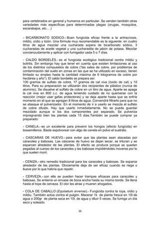 para vertebrados en general y humanos en particular. Se venden también otras
variedades más específicas para determinadas plagas (orugas, mosquitos,
escarabajos, etc.…)
- BICARBONATO SODICO.- Buen fungicida eficaz frente a la antracnosis,
mildiú, oídio y tizón. Una fórmula muy recomendable es la siguiente: en cuatro
litros de agua mezclar una cucharada sopera de bicarbonato sódico, 3
cucharadas de aceite vegetal y una cucharadita de jabón de potasa. Mezclar
concienzudamente y aplicar con fumigador cada 5 o 7 días.
- CALDO BORDELÉS.- es el fungicida ecológico tradicional contra mildiú y
botritis. Sin embargo hay que tener en cuenta que existen limitaciones al uso
de los distintos compuestos de cobre (“las sales de cobre, por problemas de
contaminación del suelo en zonas en las que se ha utilizado en exceso, tienen
limitado su empleo hasta la cantidad máxima de 6 kilogramos de cobre por
hectárea y año”). El caldo bordelés se prepara así:
100 gramos de sulfato de cobre, 17 gramos de cal viva (óxido de cal) y 10
litros. Para su preparación se utilizarán dos recipientes de plástico (nunca de
aluminio). Se disuelve el sulfato de cobre en un litro de agua. Aparte se apaga
la cal viva en 800 c.c. de agua teniendo cuidado de no quemarse con la
reacción (mejor usar gafas protectoras) y se deja aparte hasta que se enfríe
momento en el que se agregan 8 litros de agua. Convendrá filtrarlo para que no
se atasque el pulverizador. En el momento de ir a usarlo se mezcla el sulfato
de cobre diluido. Hay que usarlo inmediatamente. No se puede guardar
mezclado aunque si los dos componentes por separado. Se pulveriza
impregnando bien las plantas cada 15 días.También se puede comprar ya
preparado:
- CANELA.- es un excelente para prevenir los hongos (efecto fungicida) en
lossemilleros. Basta espolvorear con algo de canela en polvo el sustrato.
- CASCARAS DE HUEVO.- para evitar que las plantas sean atacadas por
caracoles y babosas. Las cáscaras de huevo se dejan secar, se trituran y se
esparcen alrededor de las plantas. El efecto se produce porque se quedan
pegadas al cuerpo de los caracoles y las babosas impidiéndoles moverse por lo
que suelen morir.
- CENIZA.- otro remedio tradicional para los caracoles y babosas. Se esparce
alrededor de las plantas. Obviamente deja de ser eficaz cuando se riega o
llueve por lo que habría que repetir.
- CERVEZA.- con ella se pueden hacer trampas eficaces para caracoles y
babosas. Se entierra un envase de boca ancha hasta su mismo borde. Se llena
hasta el tope de cerveza. El olor les atrae y mueren ahogados.
- COLA DE CABALLO (Equisetum arvense).- Fungicida contra la roya, oídio y
mildiu. También actúa contra el pulgón. Macerar 1k de planta fresca en 10l de
agua o 200gr de planta seca en 10l. de agua y diluir 5 veces. Se fumiga un día
seco y soleado.
36

 