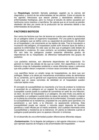 La fitopatología (también llamada patología vegetal) es la ciencia del
diagnóstico y control de las enfermedades de las plantas. Cubre el estudio de
los agentes infecciosos que atacan plantas y desórdenes abióticos o
enfermedades fisiológicas, pero no incluye el estudio de daños causados por
herbívoros como insectos o mamíferos. Se calcula que en el mundo se pierden
alrededor del diez por ciento de la producción de los alimentos debido a las
enfermedades de las plantas.

FACTORES BIOTICOS
Son varios los factores que han de tenerse en cuenta para valorar la incidencia
de un patógeno sobre un organismo hospedador. Por una parte la agresividad
de un patógeno que se define como su capacidad de penetración, de difusión
en el hospedador y de crecimiento en los tejidos de éste. Tras la inoculación e
incubación del patógeno, el hospedador puede sufrir diversos tipos de daños y
aparece la enfermedad. En este caso se dice que el patógeno está dotado de
agresividad o virulencia. En caso contrario, se considera desprovisto de ella.
Por otro lado los patógenos pueden presentar diferentes grados de
dependencia de su hospedador, se diferencia habitualmente dos grupos de
parásitos:
-Los parásitos estrictos, son altamente dependientes del hospedador. En
general no matan las células de las que se nutren. Son específicos o de muy
estrecho rango de huéspedes existiendo a veces diferentes cepas o patovares
que sólo pueden atacar a especies o incluso razas concretas de plantas.
-Los saprófitos tienen un amplio rango de hospedadores, es decir que son
polífagos. Matan a la célula por mecanismos enzimáticos antes de alimentarse
de su contenido, por lo general son organismos descomponedores de materia
muerta que en casos concretos de debilidad en el hospedador pueden
colonizar tejidos vivos.
El concepto de susceptibilidad es importante a la hora de analizar la incidencia
y severidad de un patógeno en un vegetal. Se considera que una planta es
susceptible cuando posee la cualidad de convertirse en sede de una infección,
es decir, de servir de hospedador a un patógeno. De este modo una planta es
susceptible a un patógeno cuando éste es capaz de penetrar, infectar y originar
en la planta los síntomas característicos de la enfermedad. Concepto opuesto a
la susceptibilidad es la resistencia, propiedad de una planta para oponerse a la
penetración y, por tanto, a la infección, no apareciendo síntomas. Esta
susceptibilidad puede ser natural, o inducida según dependa de factores
genéticos o esté influida por el medio ambiente. Una cualidad intermedia entre
susceptibilidad y resistencia es la tolerancia. Un planta es tolerante cuando el
patógeno puede penetrar pero no aparece infección ni síntomas.
En el desarrollo de una enfermedad pueden diferenciarse diferentes etapas:
-Contaminación. Es la llegada del patógeno o del agente infeccioso o inoculo
(por ejemplo esporas de hongos) a las proximidades del hospedador.

45

 