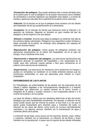-Penetración del patógeno. Que puede realizarse bien a través del tejido sano
de la planta para lo cual el patógeno ha de poseer estructuras (como estiletes
de nematodos) o enzimas digestivas que degraden esos tejidos; o a través de
heridas o aperturas naturales de la superficie de la planta (como estomas).
-Infección. Es el proceso en el que el patógeno toma contacto con las células
del hospedador de las que posteriormente va a alimentarse.
-Incubación. Es el intervalo de tiempo que transcurre entre la infección y la
aparición de síntomas. Depende su duración en gran medida del tipo de
patógeno y de los órganos a los que ataque.
-Difusión o invasión. Durante esta etapa el patógeno se extiende más allá de
los primeros tejidos colonizados. Patógenos muy específicos suelen limitarse a
áreas concretas de la planta, sin embargo otros patógenos son capaces de
colonizar diversos tejidos.
-Reproducción del patógeno. Varios grupos de patógenos producen sus
estructuras reproductoras en el interior del hospedador, tal es el caso de
hongos, virus y bacterias entre otros.
-Diseminación o dispersión del patógeno. Las estructuras reproductoras del
patógenos alcanzan la superficie del hospedador y son dispersadas en el
medio, para bien colonizar nuevas plantas o bien para mantenerse en el
exterior como estructuras de resistencia.
-Supervivencia. Las estructuras de resistencia como esclerocios en hongos o
quistes en nematodos se mantienen en el medio ambiente siempre que las
condiciones ambientales no sean las adecuadas para infectar un nuevo
hospedador.
ENFERMEDADES DE LAS PLANTAS
En Fitopatología, las enfermedades de las plantas son las respuestas de las
células y tejidos vegetales a los microorganismos patogénicos o a factores
ambientales que determinan un cambio adverso en la forma, función o
integridad de la planta y puedan conducir a una incapacidad parcial o a la
muerte de la planta o de sus partes.
Los tipos de células y tejidos que son afectados determinan el tipo de función
fisiológica que será imposibilitada inicialmente. Por ejemplo, la infección de las
raíces puede causar que las mismas se pudran, lo que hace a su vez que la
planta quede incapacitada para absorber agua y nutrientes del suelo. La
infección de los vasos del xilema, como ocurre en muchos marchitamientos
vasculares y en algunos cancros, interfiere con la translocación de agua y
nutrientes dentro de la planta.
La infección de las hojas, como ocurre con las manchas, tizones, royas, mildius
y mosaicos, interfiere con la fotosíntesis. La infección de las flores y frutos
interfiere con la reproducción. A pesar que la mayoría de las células infectadas
46

 