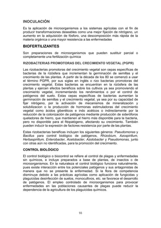 INOCULACIÓN
Es la aplicación de microorganismos a los sistemas agrícolas con el fin de
producir transformaciones deseables como una mejor fijación de nitrógeno, un
aumento en la adquisición de fósforo, una descomposición más rápida de la
materia orgánica o una mayor resistencia a las enfermedades

BIOFERTILIZANTES
Son preparaciones de microorganismos que pueden sustituir parcial o
completamente una fertilización química
RIZOBACTERIAS PROMOTORAS DEL CRECIMIENTO VEGETAL (PGPR)
Las rizobacterias promotoras del crecimiento vegetal son cepas específicas de
bacterias de la rizósfera que incrementan la germinación de semillas y el
crecimiento de las plantas. A partir de la década de los 80 se comenzó a usar
el término PGPR, por sus siglas en inglés o rizo bacterias promotoras del
crecimiento vegetal. Estas bacterias se encuentran en la rizósfera de las
plantas y ejercen efectos benéficos sobre los cultivos ya sea promoviendo el
crecimiento vegetal, incrementando los rendimientos o por el control de
patógenos del suelo. Estas cepas específicas de bacterias aumentan la
germinación de semillas y el crecimiento vegetal, ya sea por su capacidad de
fijar nitrógeno, por la activación de mecanismos de mineralización y
solubilizacion o la producción de hormonas estimuladoras del crecimiento
vegetal como ácidos giberélicos e indo acéticos o indirectamente por la
reducción de la colonización de patógenos mediante producción de sideróforos
queladores de hierro, que mantienen al hierro más disponible para la bacteria,
pero no disponible para el fitopatógeno, afectando su crecimiento. También
pueden inducir la expresión de factores resistencia por parte de las plantas.
Estas rizobacterias benéficas incluyen los siguientes géneros: Pseudomonas y
Bacillus para control biológico de patógenos, Rhizobium, Azospirillum,
Herbaspirillum, Enterobacter, Acetobacter, Azotobacter y Pseudomonas, junto
con otras aún no identificadas, para la promoción del crecimiento.
CONTROL BIOLÓGICO
El control biológico o biocontrol se refiere al control de plagas y enfermedades
sin químicos, e incluye preparados a base de plantas, de insectos o de
microorganismos. En la naturaleza el control biológico funciona naturalmente,
pues existe interacción entre los potenciales patógenos y sus antagonistas de
manera que no se presente la enfermedad. Si la flora de competencia
disminuye debido a las prácticas agrícolas como aplicación de fungicidas y
plaguicidas desinfección de suelos, monocultivos, etc. se favorece el desarrollo
de patógenos. El empleo controlado de microorganismos para provocar
enfermedades en las poblaciones causantes de plagas puede reducir la
dependencia de la agricultura de los plaguicidas químicos.

55

 