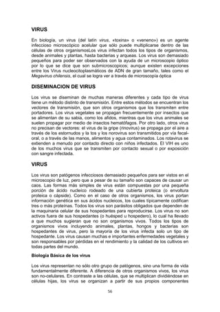 VIRUS
En biología, un virus (del latín virus, «toxina» o «veneno») es un agente
infeccioso microscópico acelular que sólo puede multiplicarse dentro de las
células de otros organismosLos virus infectan todos los tipos de organismos,
desde animales y plantas, hasta bacterias y arqueas. Los virus son demasiado
pequeños para poder ser observados con la ayuda de un microscopio óptico
por lo que se dice que son submicroscopicos; aunque existen excepciones
entre los Virus nucleocitoplasmáticos de ADN de gran tamaño, tales como el
Megavirus chilensis, el cual se logra ver a través de microscopía óptica

DISEMINACION DE VIRUS
Los virus se diseminan de muchas maneras diferentes y cada tipo de virus
tiene un método distinto de transmisión. Entre estos métodos se encuentran los
vectores de transmisión, que son otros organismos que los transmiten entre
portadores. Los virus vegetales se propagan frecuentemente por insectos que
se alimentan de su sabia, como los afidos, mientras que los virus animales se
suelen propagar por medio de insectos hematófagos. Por otro lado, otros virus
no precisan de vectores: el virus de la gripe (rinovirus) se propaga por el aire a
través de los estornudos y la tos y los norovirus son transmitidos por vía fecaloral, o a través de las manos, alimentos y agua contaminados. Los rotavirus se
extienden a menudo por contacto directo con niños infectados. El VIH es uno
de los muchos virus que se transmiten por contacto sexual o por exposición
con sangre infectada.

VIRUS
Los virus son patógenos infecciosos demasiado pequeños para ser vistos en el
microscopio de luz, pero que a pesar de su tamaño son capaces de causar un
caos. Las formas más simples de virus están compuestas por una pequeña
porción de ácido nucleíco rodeado de una cubierta proteica (o envoltura
proteica o cápside). Como en el caso de otros organismos, los virus portan
información genética en sus ácidos nucleicos, los cuales típicamente codifican
tres o más proteínas. Todos los virus son parásitos obligados que dependen de
la maquinaria celular de sus hospedantes para reproducirse. Los virus no son
activos fuera de sus hospedantes (o huésped u hospedero), lo cual ha llevado
a que muchos sugieran que no son organismos vivos. Todos los tipos de
organismos vivos incluyendo animales, plantas, hongos y bacterias son
hospedantes de virus, pero la mayoría de los virus infecta solo un tipo de
hospedante. Los virus causan muchas e importantes enfermedades vegetales y
son responsables por pérdidas en el rendimiento y la calidad de los cultivos en
todas partes del mundo.
Biología Básica de los virus
Los virus representan no sólo otro grupo de patógenos, sino una forma de vida
fundamentalmente diferente. A diferencia de otros organismos vivos, los virus
son no-celulares. En contraste a las células, que se multiplican dividiéndose en
células hijas, los virus se organizan a partir de sus propios componentes
56

 