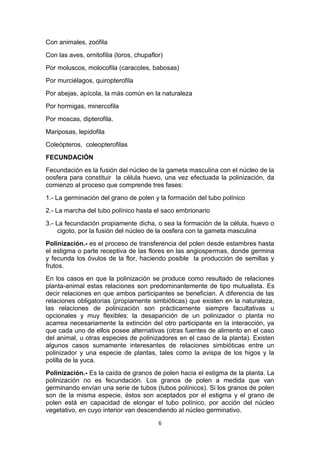 Con animales, zoófila
Con las aves, ornitofilia (loros, chupaflor)
Por moluscos, molocofila (caracoles, babosas)
Por murciélagos, quiropterofila
Por abejas, apícola, la más común en la naturaleza
Por hormigas, minercofila
Por moscas, dipterofila.
Mariposas, lepidofila
Coleópteros, coleopterofilas
FECUNDACIÓN
Fecundación es la fusión del núcleo de la gameta masculina con el núcleo de la
oosfera para constituir la célula huevo, una vez efectuada la polinización, da
comienzo al proceso que comprende tres fases:
1.- La germinación del grano de polen y la formación del tubo polínico
2.- La marcha del tubo polínico hasta el saco embrionario
3.- La fecundación propiamente dicha, o sea la formación de la célula, huevo o
cigoto, por la fusión del núcleo de la oosfera con la gameta masculina
Polinización.- es el proceso de transferencia del polen desde estambres hasta
el estigma o parte receptiva de las flores en las angiospermas, donde germina
y fecunda los óvulos de la flor, haciendo posible la producción de semillas y
frutos.
En los casos en que la polinización se produce como resultado de relaciones
planta-animal estas relaciones son predominantemente de tipo mutualista. Es
decir relaciones en que ambos participantes se benefician. A diferencia de las
relaciones obligatorias (propiamente simbióticas) que existen en la naturaleza,
las relaciones de polinización son prácticamente siempre facultativas u
opcionales y muy flexibles: la desaparición de un polinizador o planta no
acarrea necesariamente la extinción del otro participante en la interacción, ya
que cada uno de ellos posee alternativas (otras fuentes de alimento en el caso
del animal, u otras especies de polinizadores en el caso de la planta). Existen
algunos casos sumamente interesantes de relaciones simbióticas entre un
polinizador y una especie de plantas, tales como la avispa de los higos y la
polilla de la yuca.
Polinización.- Es la caída de granos de polen hacia el estigma de la planta. La
polinización no es fecundación. Los granos de polen a medida que van
germinando envían una serie de tubos (tubos polínicos). Si los granos de polen
son de la misma especie, éstos son aceptados por el estigma y el grano de
polen está en capacidad de elongar el tubo polínico, por acción del núcleo
vegetativo, en cuyo interior van descendiendo al núcleo germinativo.
6

 