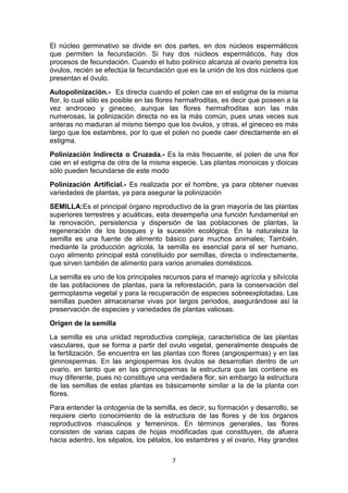 El núcleo germinativo se divide en dos partes, en dos núcleos espermáticos
que permiten la fecundación. Si hay dos núcleos espermáticos, hay dos
procesos de fecundación. Cuando el tubo polínico alcanza al ovario penetra los
óvulos, recién se efectúa la fecundación que es la unión de los dos núcleos que
presentan el óvulo.
Autopolinización.- Es directa cuando el polen cae en el estigma de la misma
flor, lo cual sólo es posible en las flores hermafroditas, es decir que poseen a la
vez androceo y gineceo, aunque las flores hermafroditas son las más
numerosas, la polinización directa no es la más común, pues unas veces sus
anteras no maduran al mismo tiempo que los óvulos, y otras, el gineceo es más
largo que los estambres, por lo que el polen no puede caer directamente en el
estigma.
Polinización Indirecta o Cruzada.- Es la más frecuente, el polen de una flor
cae en el estigma de otra de la misma especie. Las plantas monoicas y dioicas
sólo pueden fecundarse de este modo
Polinización Artificial.- Es realizada por el hombre, ya para obtener nuevas
variedades de plantas, ya para asegurar la polinización
SEMILLA:Es el principal órgano reproductivo de la gran mayoría de las plantas
superiores terrestres y acuáticas, esta desempeña una función fundamental en
la renovación, persistencia y dispersión de las poblaciones de plantas, la
regeneración de los bosques y la sucesión ecológica. En la naturaleza la
semilla es una fuente de alimento básico para muchos animales; También,
mediante la producción agrícola, la semilla es esencial para el ser humano,
cuyo alimento principal está constituido por semillas, directa o indirectamente,
que sirven también de alimento para varios animales domésticos.
La semilla es uno de los principales recursos para el manejo agrícola y silvícola
de las poblaciones de plantas, para la reforestación, para la conservación del
germoplasma vegetal y para la recuperación de especies sobreexplotadas. Las
semillas pueden almacenarse vivas por largos periodos, asegurándose así la
preservación de especies y variedades de plantas valiosas.
Origen de la semilla
La semilla es una unidad reproductiva compleja, característica de las plantas
vasculares, que se forma a partir del ovulo vegetal, generalmente después de
la fertilización. Se encuentra en las plantas con flores (angiospermas) y en las
gimnospermas. En las angiospermas los óvulos se desarrollan dentro de un
ovario, en tanto que en las gimnospermas la estructura que las contiene es
muy diferente, pues no constituye una verdadera flor, sin embargo la estructura
de las semillas de estas plantas es básicamente similar a la de la planta con
flores.
Para entender la ontogenia de la semilla, es decir, su formación y desarrollo, se
requiere cierto conocimiento de la estructura de las flores y de los órganos
reproductivos masculinos y femeninos. En términos generales, las flores
consisten de varias capas de hojas modificadas que constituyen, de afuera
hacia adentro, los sépalos, los pétalos, los estambres y el ovario, Hay grandes
7

 