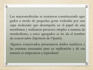 • Las macromoléculas se reunieron constituyendo agre
gados a modo de pequeñas gotas rodeadas por una
capa molecular que desempeña en el papel de una
membrana y realizaron procesos simples a manera de
metabolismo, a estos agregados se les da el nombre
de coacervados (hipótesis de Oparin).
• Algunos coacervados presentaron ácidos nucleicos y
las enzimas necesarias para su replicación y de esa
manera se empezaron a reproducir.
 