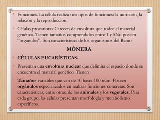 • Funciones. La célula realiza tres tipos de funciones: la nutrición, la
relación y la reproducción.
• Células procariotas Carecen de envoltura que rodee el material
genético. Tienen tamaños comprendidos entre 1 y 5No poseen
“orgánulos”. Son características de los organismos del Reino
MÓNERA
• CÉLULAS EUCARÍSTICAS.
• Presentan una envoltura nuclear que delimita el espacio donde se
encuentra el material genético. Tienen
• Tamaños variables que van de 10 hasta 100 núm. Poseen
orgánulos especializados en realizar funciones concretas. Son
características, entre otras, de los animales y los vegetales. Para
cada grupo, las células presentan morfología y metabolismo
específicos.
 