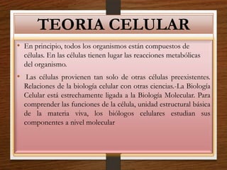 TEORIA CELULAR
• En principio, todos los organismos están compuestos de
células. En las células tienen lugar las reacciones metabólicas
del organismo.
• Las células provienen tan solo de otras células preexistentes.
Relaciones de la biología celular con otras ciencias.-La Biología
Celular está estrechamente ligada a la Biología Molecular. Para
comprender las funciones de la célula, unidad estructural básica
de la materia viva, los biólogos celulares estudian sus
componentes a nivel molecular
 