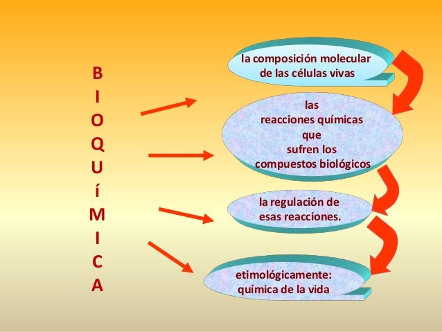 Fundamentos de la bioquimica aplicada al deporte copia Fundamentos de la bioquimica aplicada al deporte copia