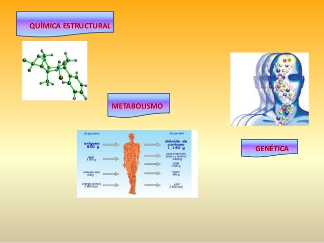 Fundamentos de la bioquimica aplicada al deporte copia Fundamentos de la bioquimica aplicada al deporte copia