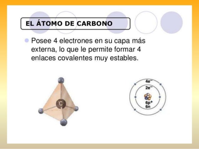Fundamentos de la bioquimica aplicada al deporte copia Fundamentos de la bioquimica aplicada al deporte copia