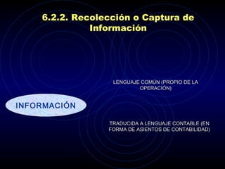 6.2.2. Recolección o Captura de Información INFORMACIÓN LENGUAJE COMÚN (PROPIO DE LA OPERACIÓN) TRADUCIDA A LENGUAJE CONTABLE (EN FORMA DE ASIENTOS DE CONTABILIDAD) 