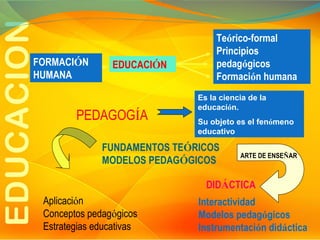 FORMACIÓN
HUMANA

EDUCACIÓN

PEDAGOGÍA

Teórico-formal
Principios
pedagógicos
Formación humana
Es la ciencia de la
educación.
Su objeto es el fenómeno
educativo

FUNDAMENTOS TEÓRICOS
MODELOS PEDAGÓGICOS

ARTE DE ENSEÑAR

DIDÁCTICA
Aplicación
Conceptos pedagógicos
Estrategias educativas

Interactividad
Modelos pedagógicos
Instrumentación didáctica

 