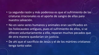 • La segunda razón y más poderosa es que el sufrimiento de las 
criaturas irracionales es el aporte de sangre de ellas para 
nuestra salvación. 
• No en vano seres humanos y animales eran sacrificados en 
los holocaustos antiguos, pues el sufrimiento de ellos, si se 
ofrecen voluntariamente a ello, reparan muchos pecados que 
de otra manera quedarían sin justicia. 
• De ahí que el sacrificio de Jesús y el de los mártires cristianos 
tenga tanto valor. 
 