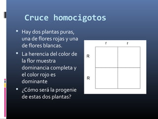 Cruce homocigotos
 Hay dos plantas puras,
una de flores rojas y una
de flores blancas.
 La herencia del color de
la flor muestra
dominancia completa y
el color rojo es
dominante
 ¿Cómo será la progenie
de estas dos plantas?
 