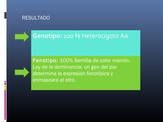 Genotipo: 100 % Heterocigoto Aa
Fenotipo: 100% Semilla de color marrón.
Ley de la dominancia: un gen del par
determina la expresión fenotípica y
enmascara al otro.
RESULTADO
 