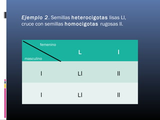 L l
l Ll ll
l Ll ll
femenino
masculino
Ejemplo 2. Semillas heterocigotas lisas Ll,
cruce con semillas homocigotas rugosas ll.
 