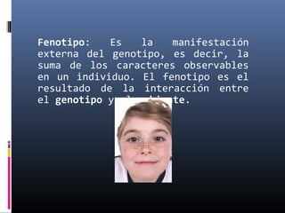 Fenotipo: Es la manifestación
externa del genotipo, es decir, la
suma de los caracteres observables
en un individuo. El fenotipo es el
resultado de la interacción entre
el genotipo y el ambiente.
 