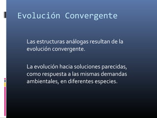 Evolución Convergente
Las estructuras análogas resultan de la
evolución convergente.
La evolución hacia soluciones parecidas,
como respuesta a las mismas demandas
ambientales, en diferentes especies.
 
