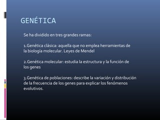 GENÉTICA
Se ha dividido en tres grandes ramas:
1.Genética clásica: aquella que no emplea herramientas de
la biología molecular. Leyes de Mendel
2.Genética molecular: estudia la estructura y la función de
los genes
3.Genética de poblaciones: describe la variación y distribución
de la frecuencia de los genes para explicar los fenómenos
evolutivos.
 