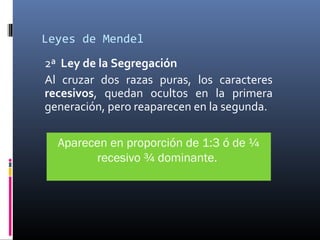 Leyes de Mendel
2ª Ley de la Segregación
Al cruzar dos razas puras, los caracteres
recesivos, quedan ocultos en la primera
generación, pero reaparecen en la segunda.
Aparecen en proporción de 1:3 ó de ¼
recesivo ¾ dominante.
 