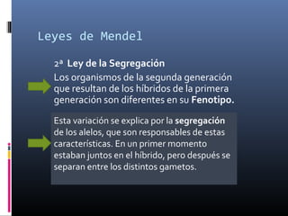 Leyes de Mendel
2ª Ley de la Segregación
Los organismos de la segunda generación
que resultan de los híbridos de la primera
generación son diferentes en su Fenotipo.
Esta variación se explica por la segregación
de los alelos, que son responsables de estas
características. En un primer momento
estaban juntos en el híbrido, pero después se
separan entre los distintos gametos.
 