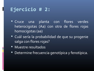 Ejercicio # 2:
 Cruce una planta con flores verdes
heterocigotas (Aa) con otra de flores rojas
homocigotas (aa)
 Cuál sería la probabilidad de que su progenie
salga con flores rojas?
 Muestre resultados
 Determine frecuencia genotípica y fenotípica.
 