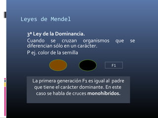 Leyes de Mendel
3ª Ley de la Dominancia.
Cuando se cruzan organismos que se
diferencian sólo en un carácter.
P ej. color de la semilla
La primera generación F1 es igual al padre
que tiene el carácter dominante. En este
caso se habla de cruces monohíbridos.
F1
 