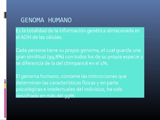 GENOMA HUMANO
Es la totalidad de la información genética almacenada en
el ADN de las células.
Cada persona tiene su propio genoma, el cual guarda una
gran similitud (99,8%) con todos los de su propia especie y
se diferencia de la del chimpancé en el 1%.
El genoma humano, contiene las instrucciones que
determinan las características físicas y en parte
psicológicas e intelectuales del individuo, ha sido
descifrado en más del 99%
 