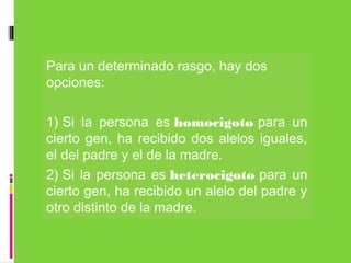 Para un determinado rasgo, hay dos
opciones:
1) Si la persona es homocigoto para un
cierto gen, ha recibido dos alelos iguales,
el del padre y el de la madre.
2) Si la persona es heterocigoto para un
cierto gen, ha recibido un alelo del padre y
otro distinto de la madre.
 