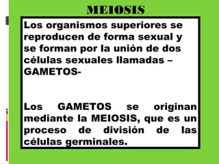 MEIOSIS
Los organismos superiores se
reproducen de forma sexual y
se forman por la unión de dos
células sexuales llamadas –
GAMETOS-
Los GAMETOS se originan
mediante la MEIOSIS, que es un
proceso de división de las
células germinales.
 