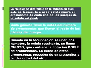 La meiosis se diferencia de la mitosis en que:
sólo se transmite a cada célula nueva un
cromosoma de cada una de las parejas de
la célula original.
Cuando en la fecundación se unen dos
gametos, la célula resultante, se llama
CIGOTO, que contiene la dotación DOBLE
de cromosomas. La mitad de estos
cromosomas proceden de un progenitor y
la otra mitad del otro.
Cada gameto tiene la mitad del número
de cromosomas que tienen el resto de las
células del cuerpo.
 