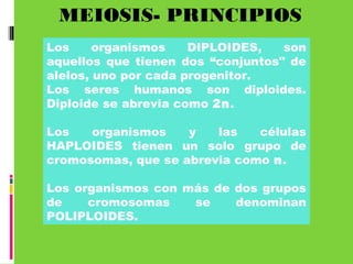 MEIOSIS- PRINCIPIOS
Los organismos DIPLOIDES, son
aquellos que tienen dos “conjuntos" de
alelos, uno por cada progenitor.
Los seres humanos son diploides.
Diploide se abrevia como 2n.
Los organismos y las células
HAPLOIDES tienen un solo grupo de
cromosomas, que se abrevia como n.
Los organismos con más de dos grupos
de cromosomas se denominan
POLIPLOIDES.
 