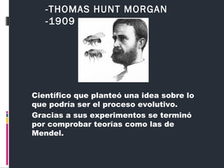 Científico que planteó una idea sobre lo
que podría ser el proceso evolutivo.
Gracias a sus experimentos se terminó
por comprobar teorías como las de
Mendel.
-THOMAS HUNT MORGAN
-1909
 