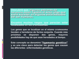 Descubrió que: algunos patrones dealgunos patrones de
herencia están ligados al sexo (algo queherencia están ligados al sexo (algo que
suele suceder en algunas enfermedadessuele suceder en algunas enfermedades
del ser humano).del ser humano).
Encontró muchos rasgos que parecían estar
localizados en los cromosomas.
Los genes que se localizan en el mismo cromosoma
tienden a heredarse de forma conjunta. Cuando más
próximos se disponen dos genes, mayores
posibilidades hay de que sean heredados al tiempo.
Este concepto se denominó “ligamento genético”
y es una clave para detectar los genes que causan
las diferentes enfermedades genéticas.
 