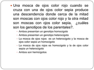  Una mosca de ojos color rojo cuando se
 cruza con una de ojos color sepia produce
 una descendencia donde cerca de la mitad
 son moscas con ojos color rojo y la otra mitad
 son moscas con ojos color sepia, ¿cuáles
 son los genotipos de los parentales?.
    Ambos presentan un genotipo homocigoto
    Ambos presentan un genotipo heterocigoto
    La mosca de ojos rojos es un heterocigoto y la mosca de
     ojos color sepia un homocigoto
    La mosca de ojos rojos es homocigoto y la de ojos color
     sepia un heterocigoto
    Ambos son hemicigotos
 