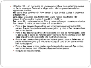  El factor RH - en humanos es una característica que se hereda como
  un factor recesivo. Determine el genotipo de los parentales de las
  siguientes familias:
  1er caso. Dos padres con RH+ tienen 5 hijos de los cuales 1 presenta
  el factor RH -.
  2do caso. Un padre con factor RH+ y una madre con factor RH -
  tienen 6 niños de los cuales 3 son RH+ y 3 RH -.
  3er caso. Un padre con factor RH+ y una madre que presenta un factor
  RH - tienen 6 niños de los cuales son todos RH+.
   Para el 1er caso ambos padres son homocigotos para el factor RH+;
      para el 2do ambos padres son heterocigotos; y para el 3er caso ambos
      son homocigotos.
     Para el 1er caso un padre es heterocigoto y el otro es homocigoto; para
      el 2do caso el padre es heterocigoto y la madre homocigota; para el 3er
      caso el padre es heterocigoto y la madre homocigota
     Para el 1er caso ambos padres son heterocigotos; para el 2do caso el
      padre es heterocigoto y la madre homocigota; para el 3er caso ambos
      son homocigotos.
     Para el 1er caso ambos padres son heterocigotos; para el 2do ambos
      son homocigotos; para el 3ero ambos son homocigotos.
     Ninguna de las anteriores.
 