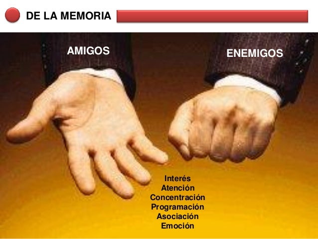 preguntas generadoras de historia y fundamentos de la pedagogia fundamentos del aprendizaje acelerado ccesa007 preguntas generadoras de historia y fundamentos de la pedagogia fundamentos del aprendizaje acelerado ccesa007