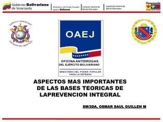 ASPECTOS MAS IMPORTANTES
DE LAS BASES TEORICAS DE
LAPREVENCION INTEGRAL
SM/2DA. OSMAR SAUL GUILLEN M
 