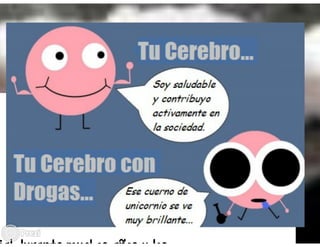 Fundamentos de la prevencion integral