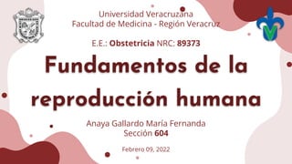 Fundamentos de la
reproducción humana
Febrero 09, 2022
Universidad Veracruzana
Facultad de Medicina - Región Veracruz
E.E.: Obstetricia NRC: 89373
Anaya Gallardo María Fernanda
Sección 604
 
