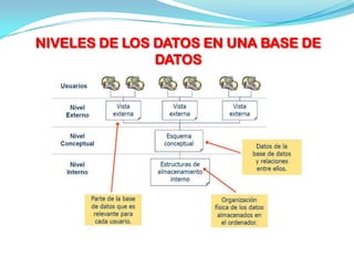 NIVELES DE LOS DATOS EN UNA BASE DE
               DATOS
 