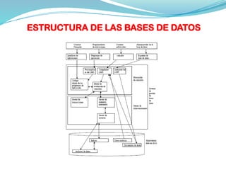 ESTRUCTURA DE LAS BASES DE DATOS
 