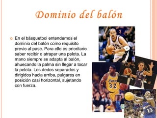  En el básquetbol entendemos el 
dominio del balón como requisito 
previo al pase. Para ello es prioritario 
saber recibir o atrapar una pelota. La 
mano siempre se adapta al balón, 
ahuecando la palma sin llegar a tocar 
la pelota. Los dedos separados y 
dirigidos hacia arriba, pulgares en 
posición casi horizontal, sujetando 
con fuerza. 
 