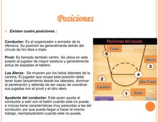  Existen cuatro posiciones : 
Conductor: Es el organizador o armador de la 
ofensiva. Su posición es generalmente detrás del 
círculo de tiro libre o triple 
Pívot: Es llamado también centro. Se ubica en este 
puesto al jugador de mayor estatura y generalmente 
actúa de espaldas al tablero. 
Los Aleros: Se mueven por los lados laterales de la 
cancha. El jugador que ocupa esta posición debe 
tener buen lanzamiento desde los laterales, dominar 
la penetración y además de ser capaz de coordinar 
sus jugadas con el pívot y el otro alero 
Ayudante del conductor: Este quien ayuda al 
conductor a salir con el balón cuando este no puede, 
e incluso tiene características muy parecidas a las del 
conductor, por que puede llegar a hacer el mismo 
trabajo, reemplazándolo cuando este no pueda. 
 